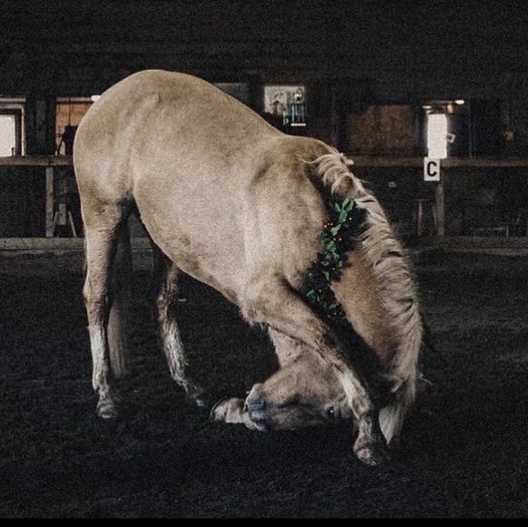 Meet your Posher, Summer - Picture 1 of 1